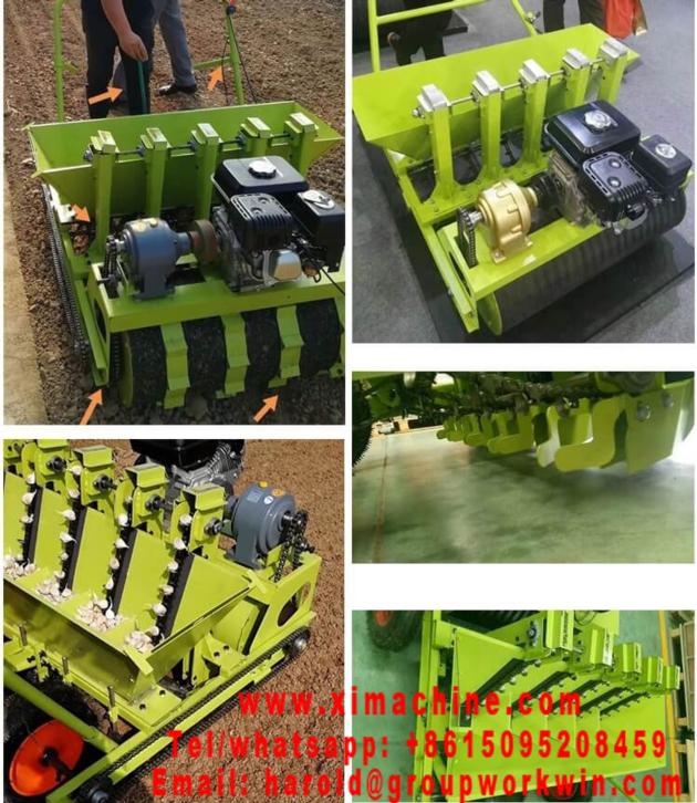 Garlic Planter