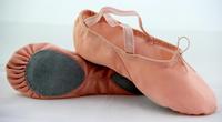 ballet shoes