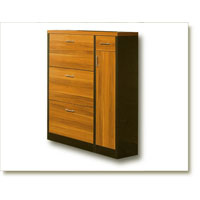 Shoe Cabinet (LC001)