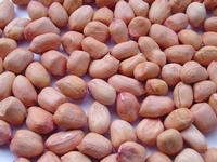 PEANUTS