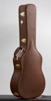 guitar case