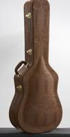 acoustic guitar case