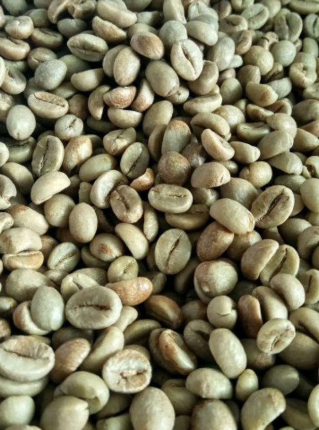 Coffee Beans Robusta