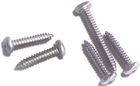 Stainless Steel Screw