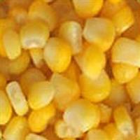 YELLOW MAIZE