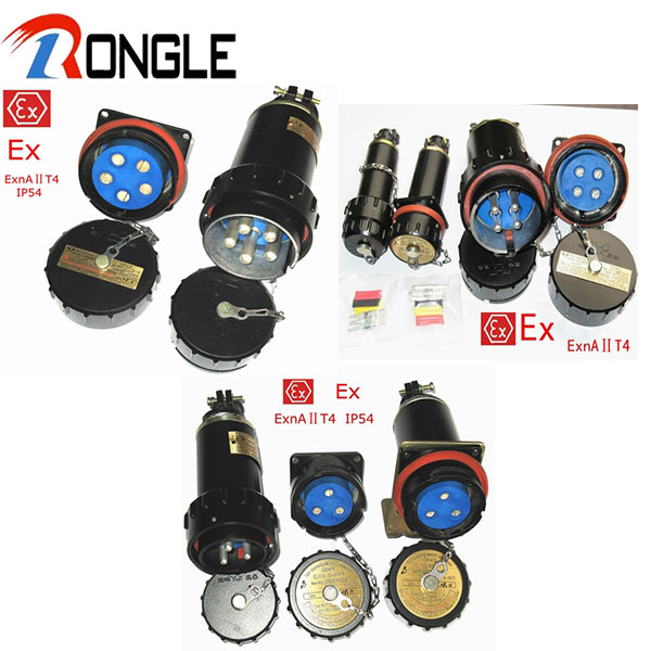 Atex Plug and Socket