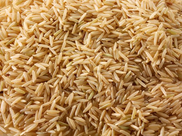 Rice