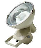 induction floodlight