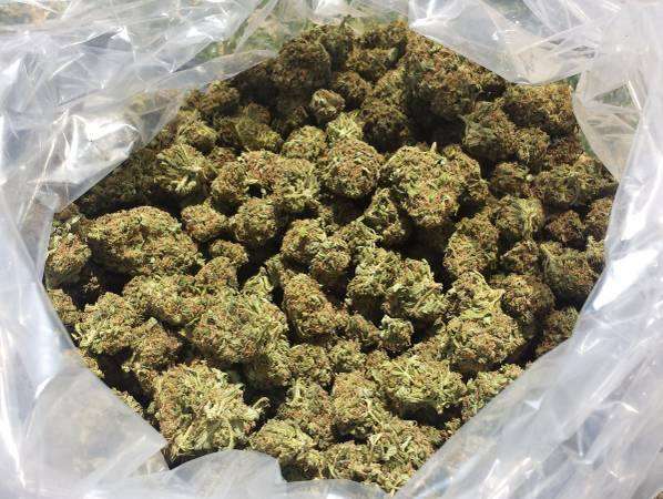 Top Quality Medical Marijuana, CBD Distillate Available