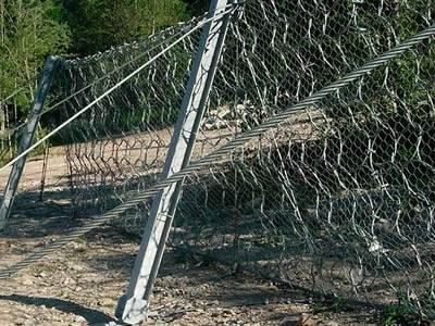 Exagonal Wire Mesh