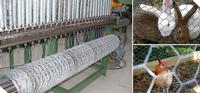 Hexagonal Wire Netting 