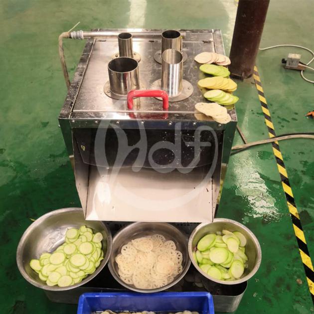 Automatic Fruit And Vegetable Processing Line