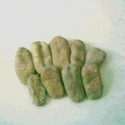 rhizoma