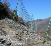 Rockfall Protection