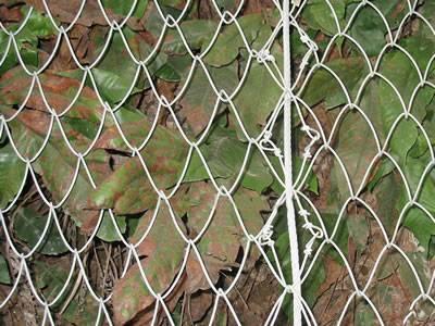Tecco Mesh