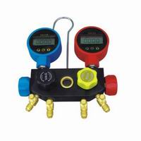 Manifold