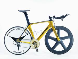 TTRX Full Functional Time Trial/ Road Frame