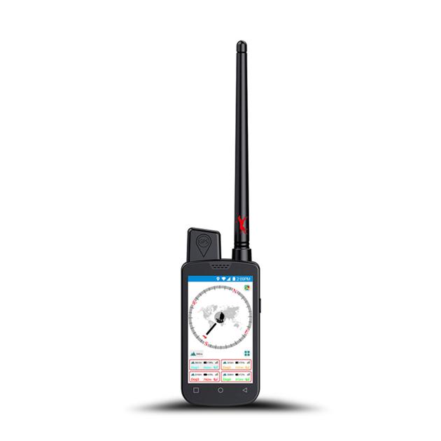 What Is The Best Gps Dog