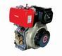 Air-cooled Diesel Engine with EPA