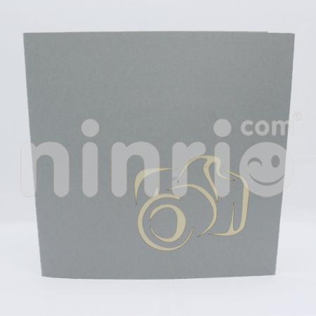 Digital Camera 3d Pop Up Card