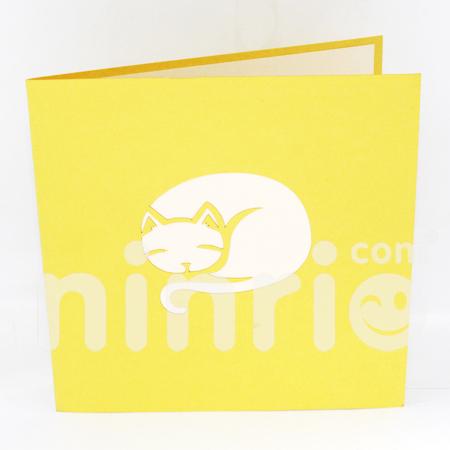 Cat S House 3d Pop Up