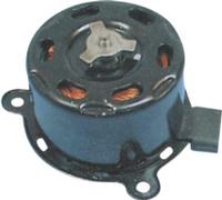 radiator fan motor