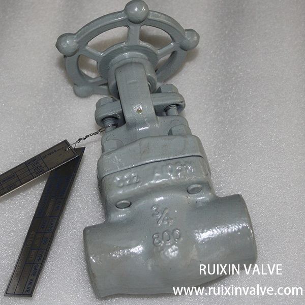 Class 800 API 602 Forged Steel