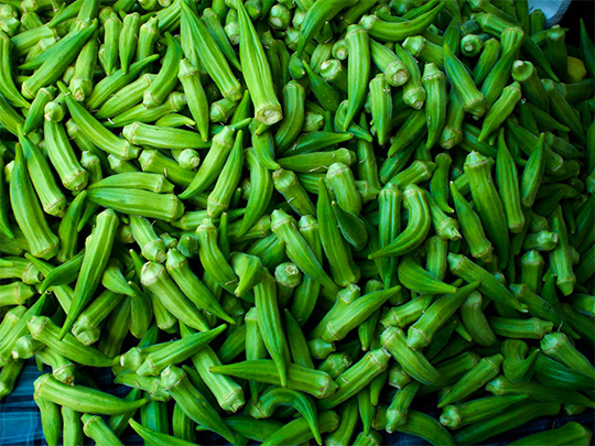 Fresh Okra
