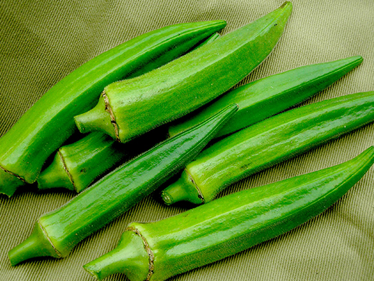 Fresh Okra