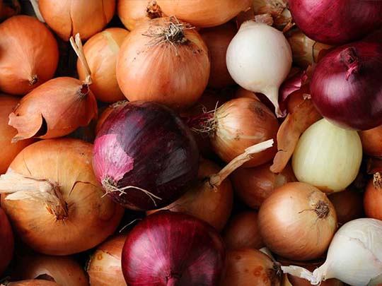 Fresh Onion