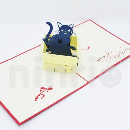 Cat In Box 3d Pop Up