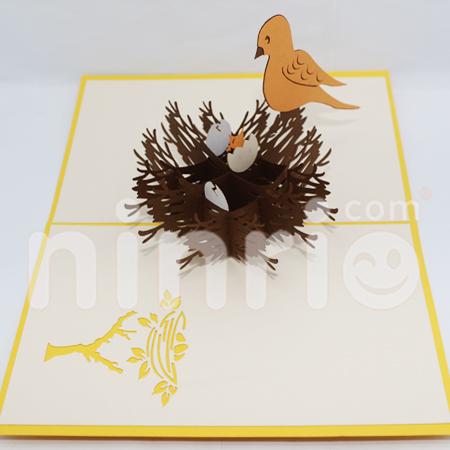 Bird nest 3d pop-up card