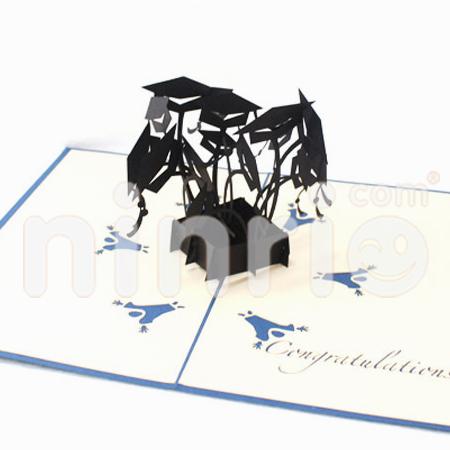 Graduated Hats 3d Pop Up Card