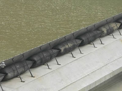 Shield Type Rubber Dam