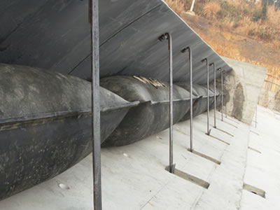 Shield Type Rubber Dam