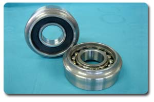 Mast guide bearing