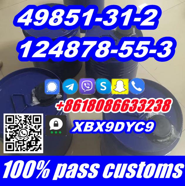 CAS 49851 31 2 124878 55