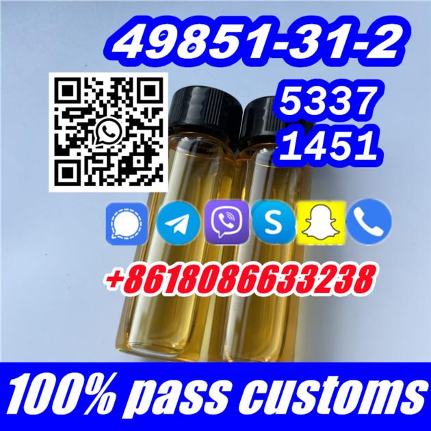 CAS 49851 31 2 2 Bromovalerophenone
