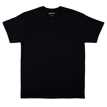 Promotional Wholesale Cheap Custom Polyester T