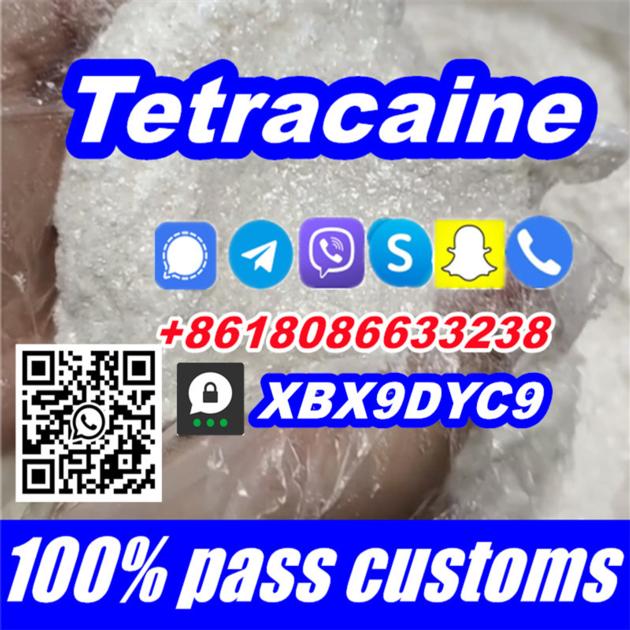 99 Tetracaine Tetracaine Hydrochloride Wholesale Tetracaina