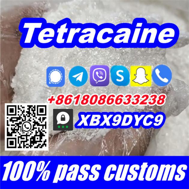99 Tetracaine Tetracaine Hydrochloride Wholesale Tetracaina