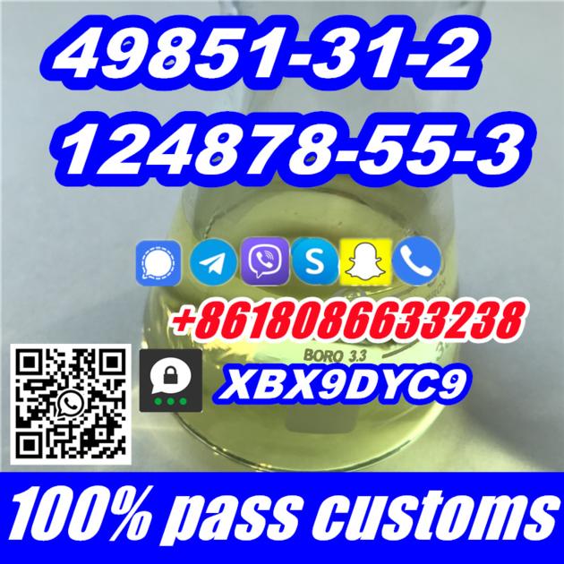 CAS 49851 31 2 124878 55