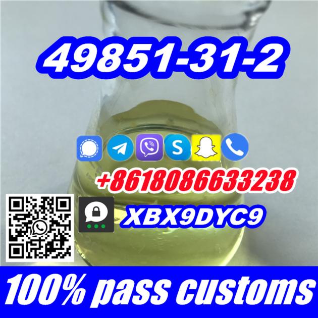 CAS 49851 31 2 124878 55