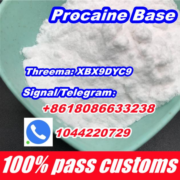99 Procaine Powder Buy Procaine Hcl