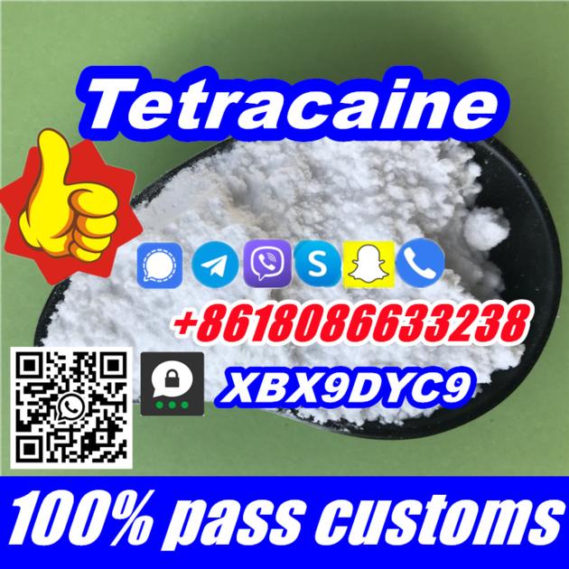 99 Tetracaine Hydrochloride CAS 136 47