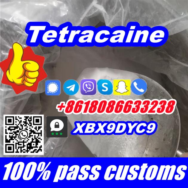 99 Tetracaine Hydrochloride CAS 136 47