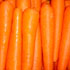 carrot