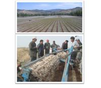 2014 new style  high quality polythene recyclable mulch film for agriculture