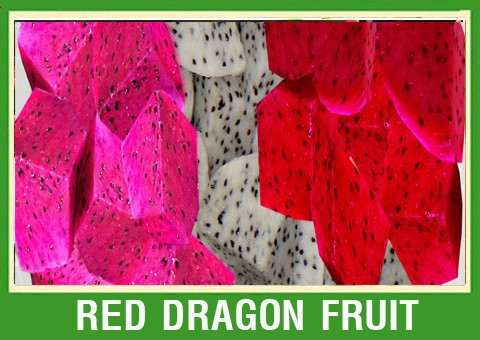 DRAGON FRUIT, FRESH FRUIT, CHEAP PRICE