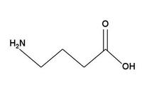 γ-aminobutyric acid (GABA) 